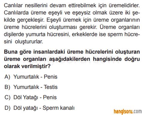 8 Sınıf Fen Bilimleri İnsanda Büyüme Üreme Ve Gelişme Testi Çöz Test Çöz