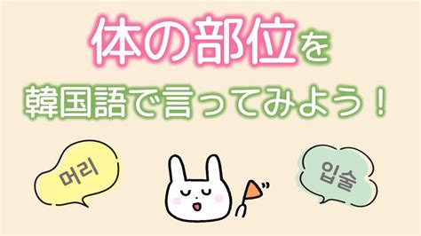 【韓国語勉強】体の部位を韓国語で言ってみよう！全部位50選 Youtube