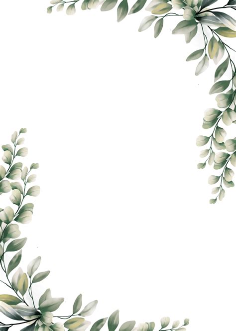watercolor eucalyptus leaf frame  png