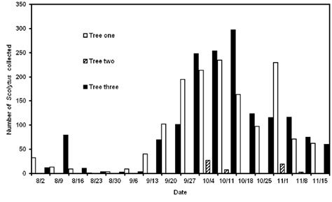 Figure 1 From Association Of Ophiostoma Novo Ulmi With Scolytus