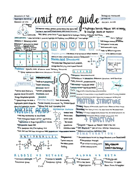 Ap Biology Unit 1 Review Notes Office And School Supplies Etsy