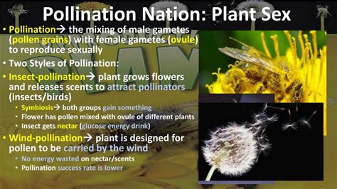 Ppt Reproduction In Plants Powerpoint Presentation Free Download