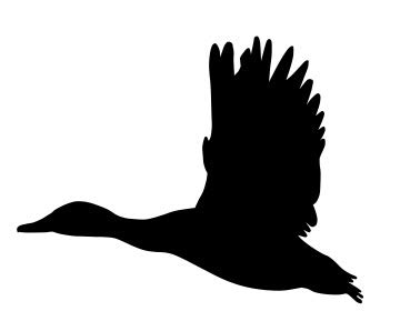 mallard duck flying silhouette dxf file