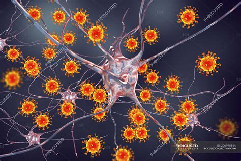 Conceptual Illustration Showing Virus Infecting Neurons Of Brain D