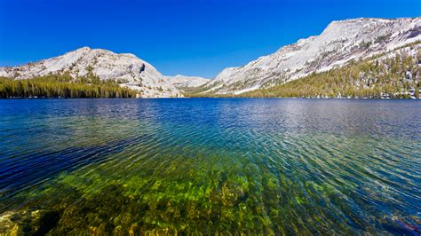 Tenaya Lake Yosemite National Park Wallpapers Wallpapers Hd