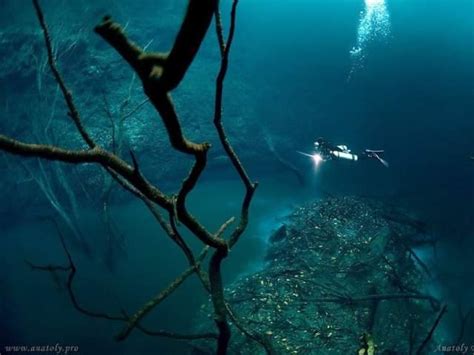 Descubren un río y una nube dentro de un cenote de Tulum via