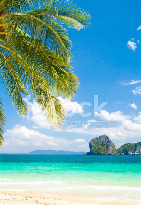 Sunny Landscape Stock Photo | Royalty-Free | FreeImages