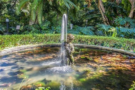 Malaga E Bike Tour Botanical Garden Natural Park And Port Of Malaga