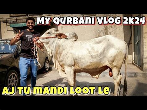 Qurbani Ka Janwar Le Lia 2024 Cow Mandi Vlog 2024 Bakra Eid Vlog