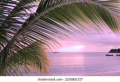 366 Negril Sunset Stock Photos, Images & Photography | Shutterstock