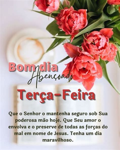 Mensagens de bom dia terça feira flor delicada frases