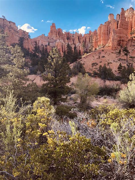 Mossy Cave Trail in Bryce Canyon National Park, Utah, USA : hiking