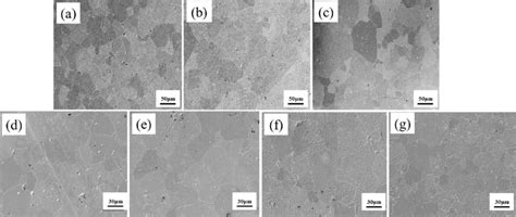 Sem Images Of Ag X A X Nbo Ceramics A Agnbo B Ag