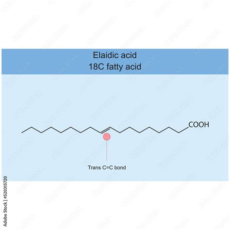 Elaidic Acid 18 Carbon Fatty Acid Chemical Structure On Blue Background Trans Double Carbon