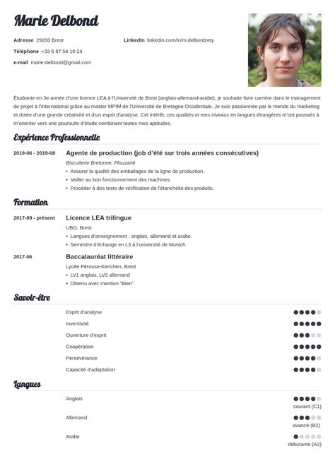 Comment décrire son niveau de langue sur le CV