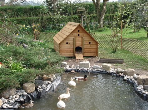 Duck Pond How To Build It In Your Backyard