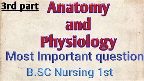 Bsc Nursing 1st Year Anatomy And Physiology Most Important Questions