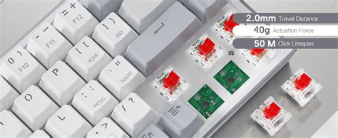 Redragon K Gery Wired Rgb Hot Swappable Compact Mechanical Keyboard Free Mod Plate