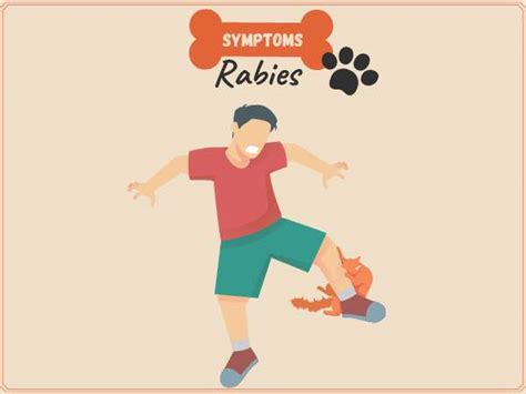 Rabies Revealed Symptoms Treatment And Prevention Tv Health