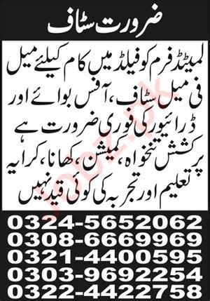 Male Female Staff Office Boy Driver Jobs In Lahore Job