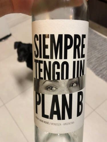 Bodegas Budeguer Siempre Tengo Un Plan B Pinot Noir Ros Vivino Us