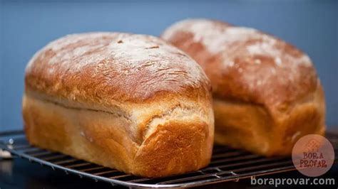 Receita De Pão Caseiro De Liquidificador Muito Fácil E Gostosa