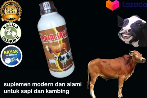 Obat Vitamin Sapi Raja Sapi 250 Ml Penggemuk Pemacu Pertumbuhan Ternak