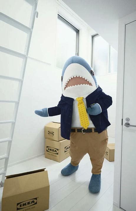 More of IKEA Japan’s mascot, their stuffed shark, BLÅHAJ, in a suit : r/sharks