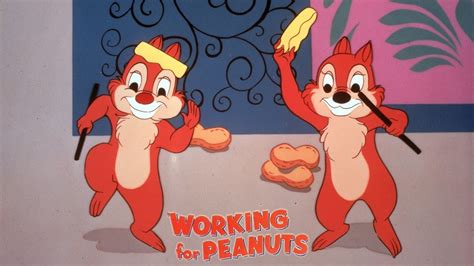 Working For Peanuts 1953 Donald Duck Chip And Dale Cartoon Short Film