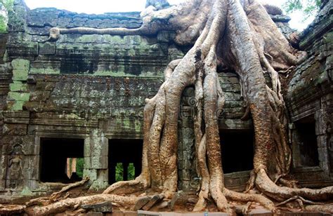 Temple Ruins Angkor Wat Cambodia Ancient Ruins Of Angkor Wat