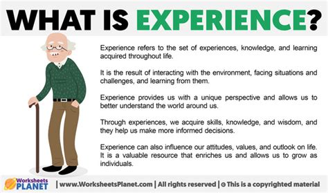 experience definition  experience