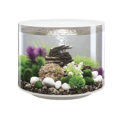 Biorb Tube Aquarium Mcr Led White Aquarium From Pond Planet Ltd Uk