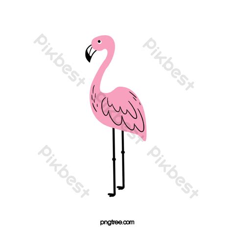 Cute Pink Flamingo Wild Png Images Eps Free Download Pikbest