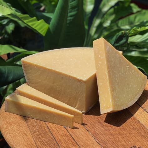 pecorino romano  cheese shop pte