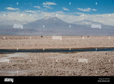 Salar de Atacama, the largest salt flat in Chile (Desert of the Atacama ...