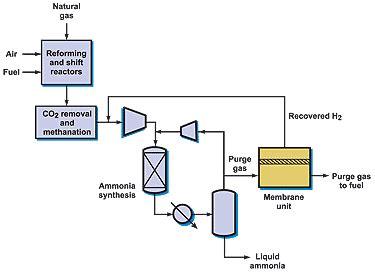 Hydrogen Recovery from Ammonia Plant Purge Gas - MTR Industrial Separations