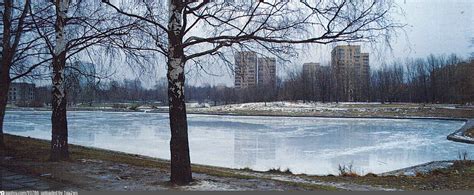 Пруды в парке Дружбы