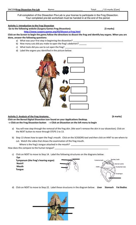 Frog Dissection Pre Lab PDF