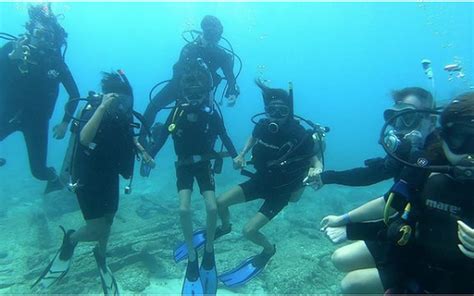 Isla Lobos Sitio Para Bucear A Horas De Tampico Perfecto Para Un