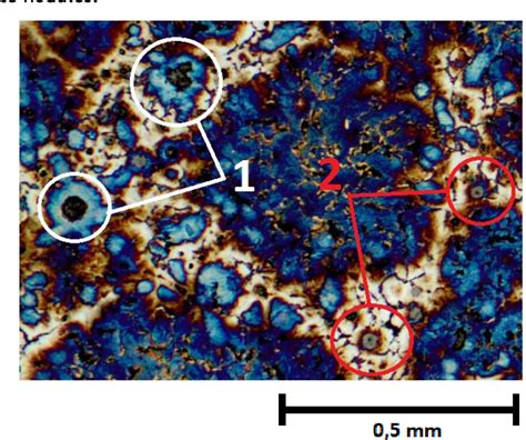 Figure 1 From Porosity Analysis On Compacted Graphite Iron Semantic Scholar