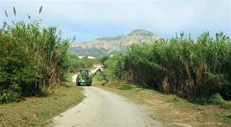 Servicios Limpia Parte De Los Caminos Rurales Y Agr Colas De La Localidad