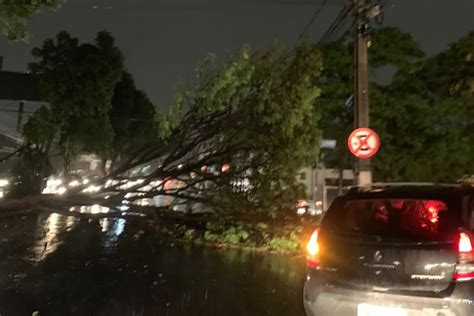 Chuva forte provoca alagamentos e derruba árvores em Goiânia e região