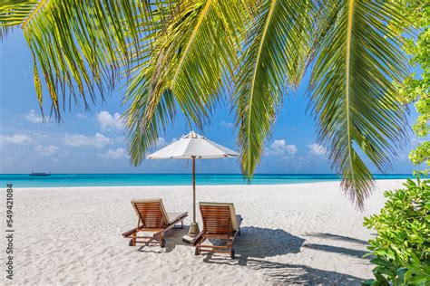 Beautiful Tropical Island Couple Chairs Umbrella Under Palm Tree