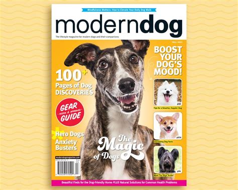 Modern Dogs Fall 2021 Issue Is Here Modern Dog Magazine