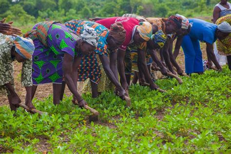 Human Adaptation In Equatorial Region