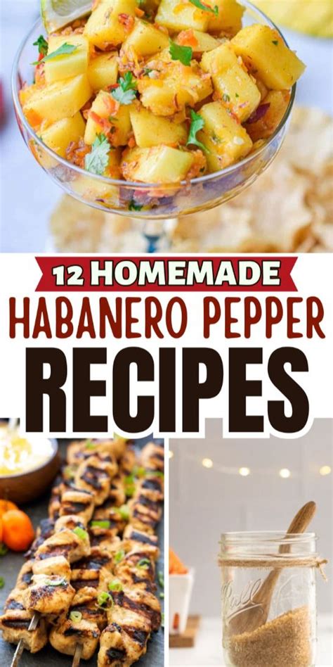 Habanero Pepper Recipes To Use Up Your Harvest In Peppers