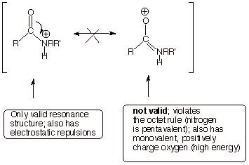 CHAPTER 18 FUNCTIONAL DERIVATIVES OF CARBOXYLIC ACIDS