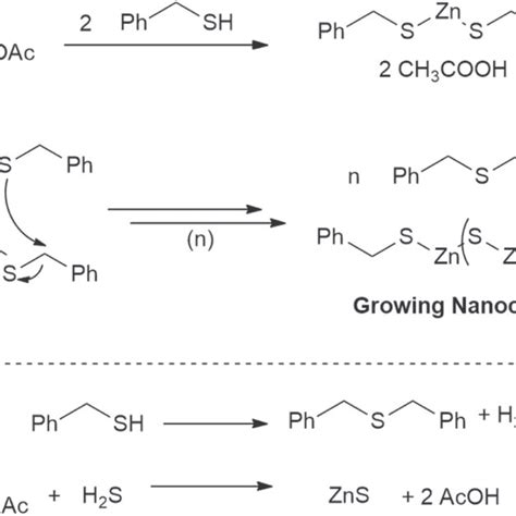 Plausible Zns Ncs Formation Pathways Top Via Reaction Of Benzyl