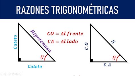 Cateto Opuesto Cateto Adyacente E Hipotenusa Ubicar Correctamente