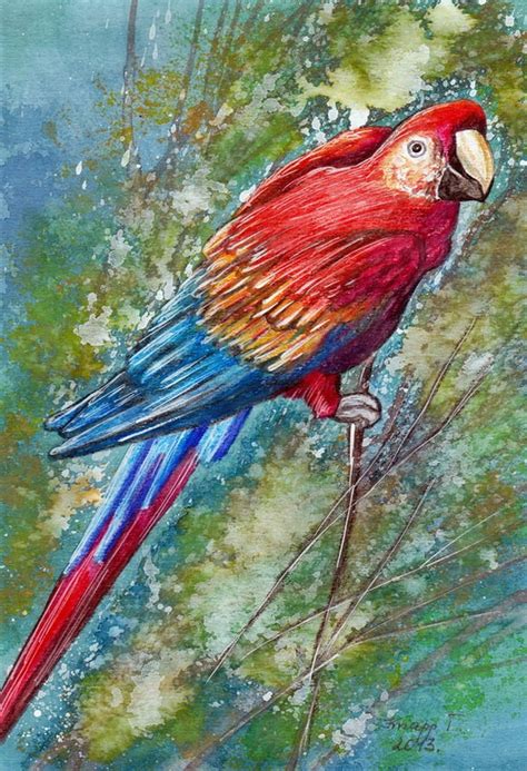 Parrot Original Painting Watercolor Handpainted 76 X116